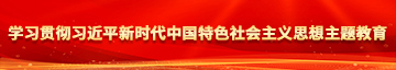 欧美大吊BB毛一级大一片学习贯彻习近平新时代中国特色社会主义思想主题教育